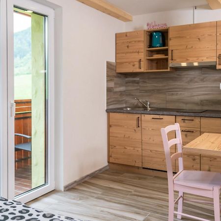 בוהין Apartmaji Hodak מראה חיצוני תמונה